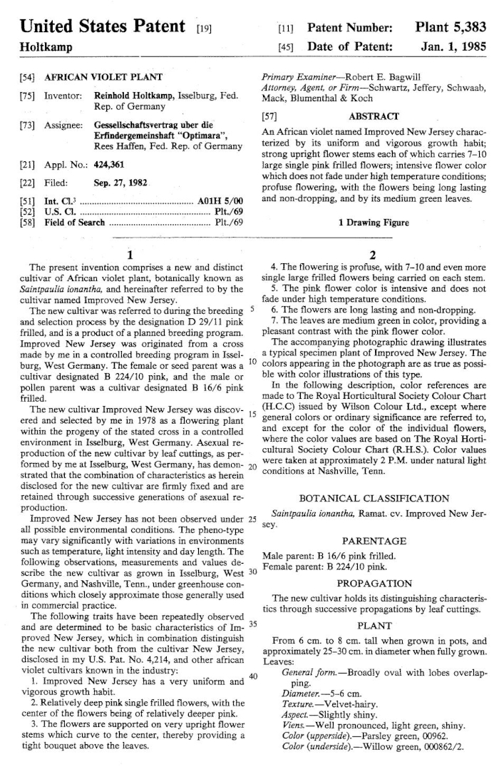 Patent P5,383 front page